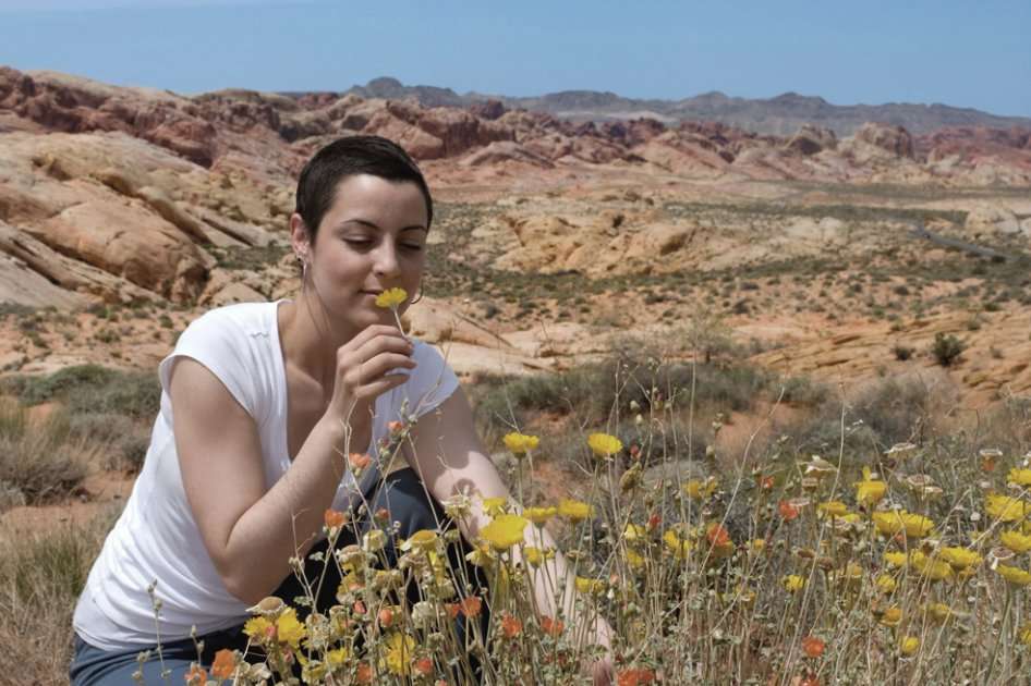 La vida después de la mastectomía