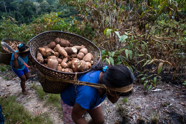 Lo que esperan los pueblos indígenas, como defensores de la naturaleza, en la COP16