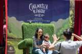 Cinemateca al parque regresa con nuevos filmes para el disfrute de los capitalinos