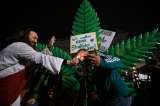 Legalización del consumo recreativo de cannabis en Alemania entra en vigor