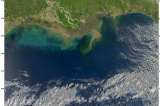 Área ‘muerta’ del Golfo de México no se recuperará hasta 2050