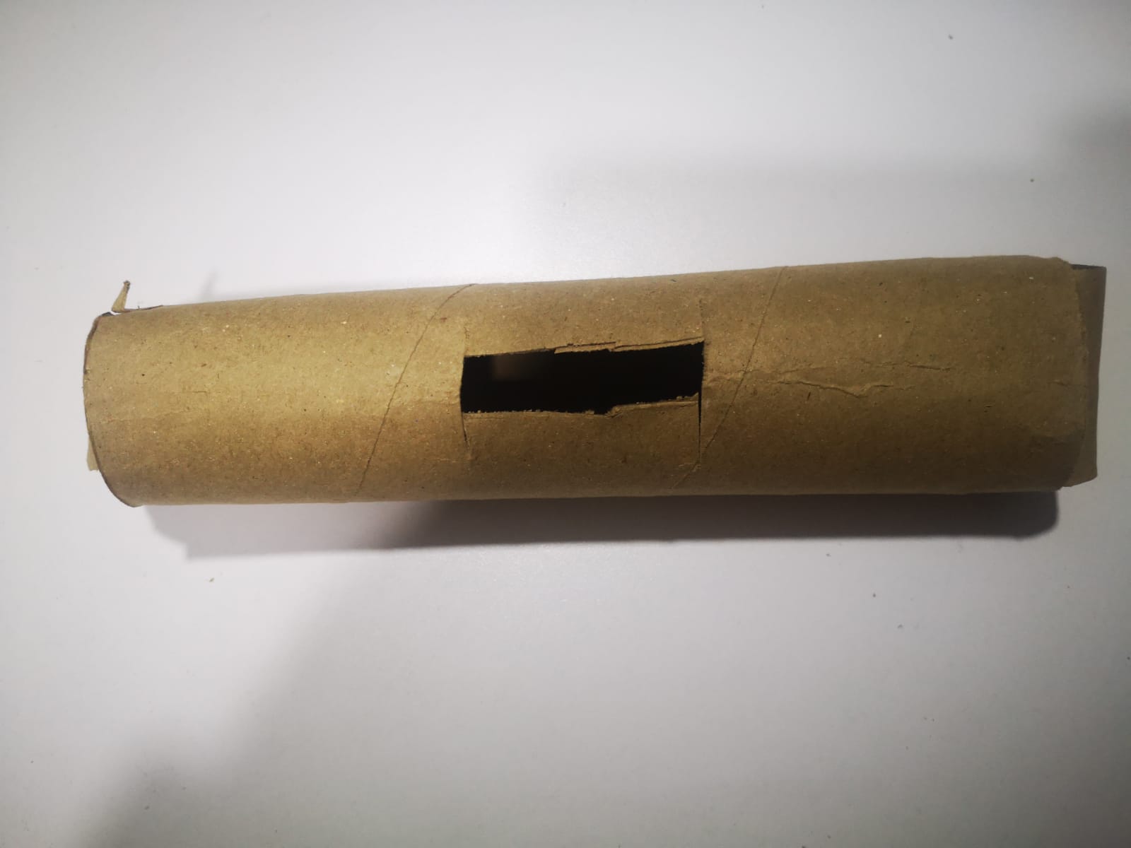 ¿Qué juguetes caseros le puedo hacer a mi perro?