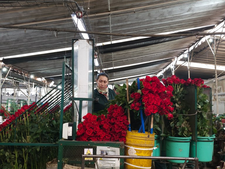 Panorama del mercado laboral colombiano, entre retos venideros y las brechas existentes