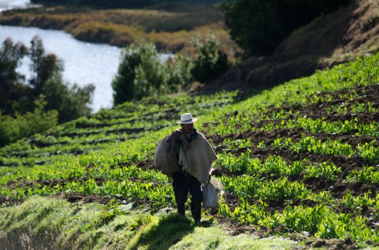 El 55 % de los gases que se emiten en Colombia viene del agro