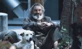 “Amores perros” restaurada en 4K y otros estrenos de MUBI en octubre