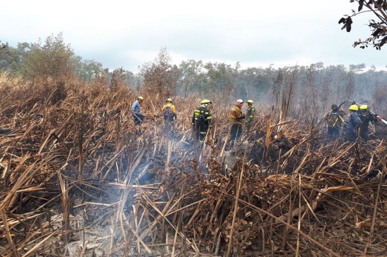 Continúan las labores para combatir incendio forestal en el parque Isla Salamanca