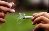 Nueva York despenalizó el uso y posesión de marihuana recreativa