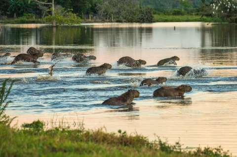 Los humedales son el 26 % del territorio en Colombia, pero están riesgo