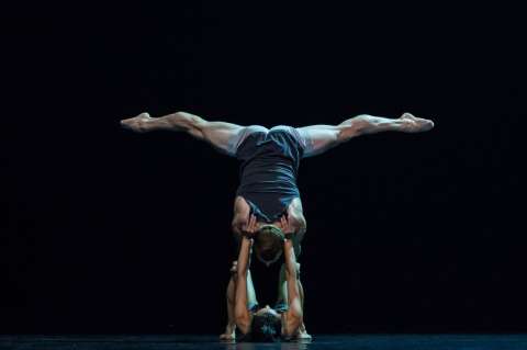 Sydney Dance Company, arte en movimiento