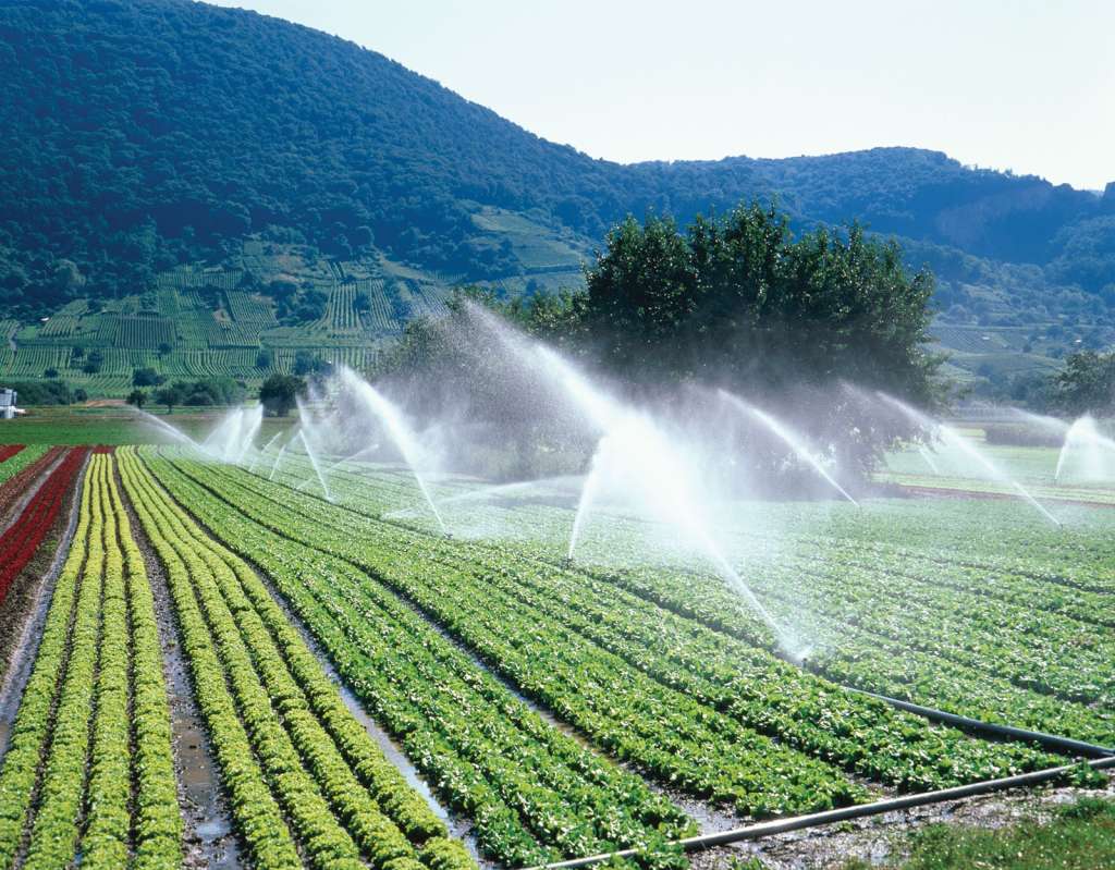 Cultivos y campesinos Cundinamarca