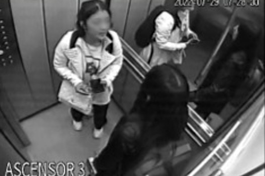 Captura de uno de los hurtos que perpetró esta mujer.