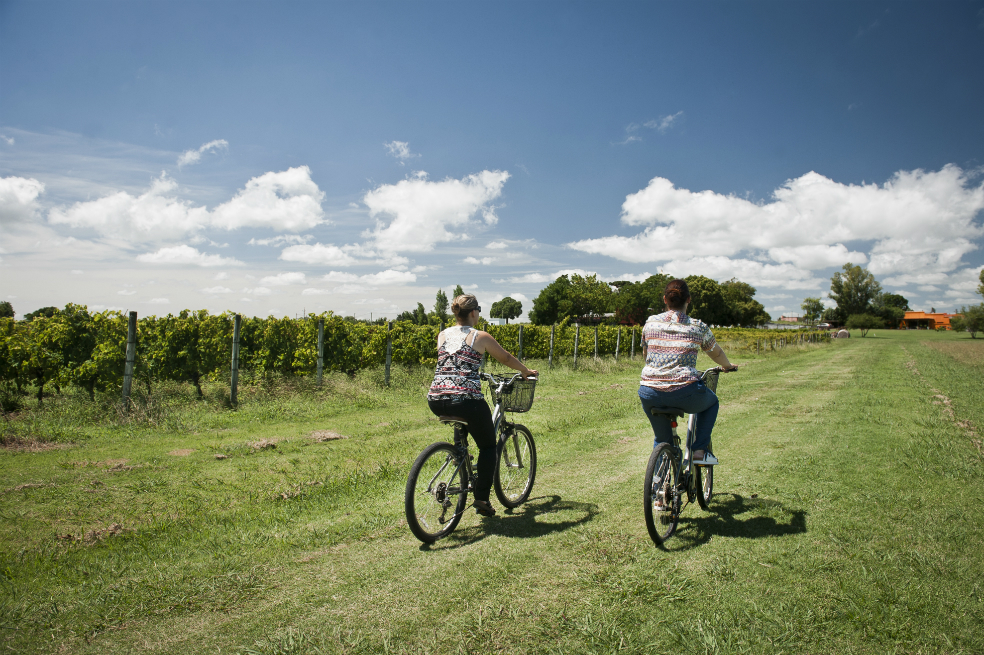 Diversidad de terroir
