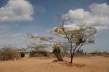 Se han destinado más de $17.000 millones para enfrentar a El Niño