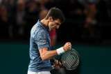 Djokovic derrotó a Federer y jugará la final del Masters 1000 de París