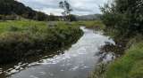 El río Bogotá mejora, pero las deudas ambientales ralentizan su recuperación