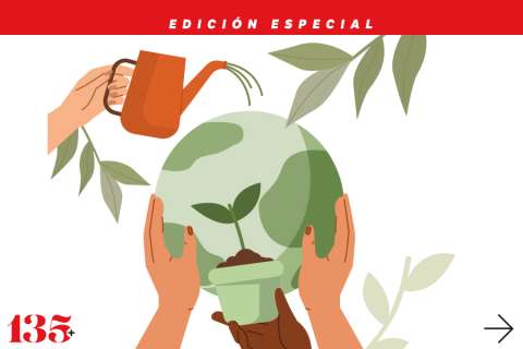 Enseñar sobre deforestación en los 13 municipios más afectados