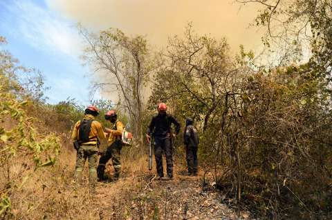 Tolima: se reactivó incendio en Coello mientras en Suárez se mantienen cuatro puntos activos