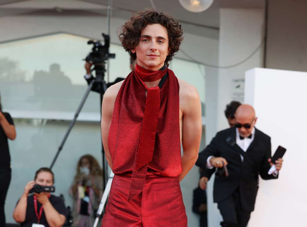 VENICE, ITALY - SEPTEMBER 02: Timothee Chalamet attends the "Bones And All" red carpet at the 79th Venice International Film Festival on September 02, 2022 in Venice, Italy. (Photo by Stefania D'Alessandro/WireImage)