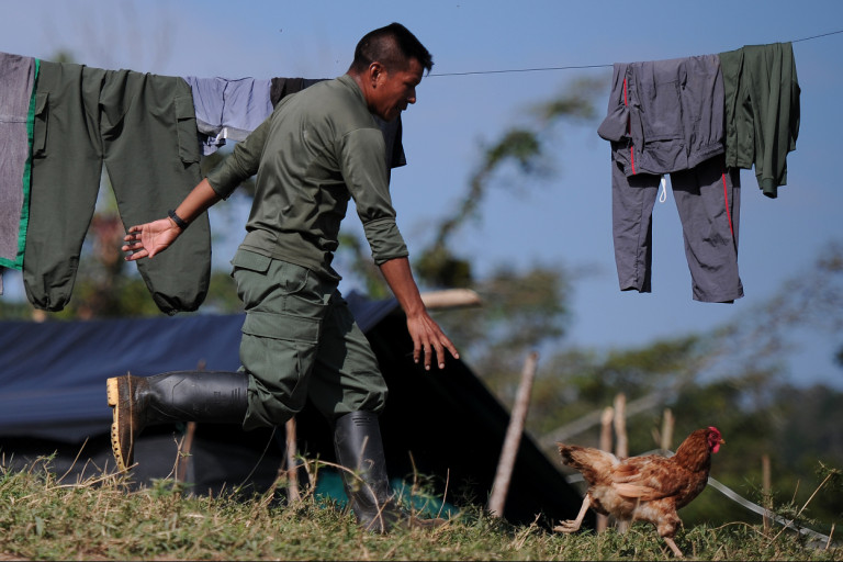 El 77 % de miembros de las Farc no tiene hoy una vivienda para habitar
