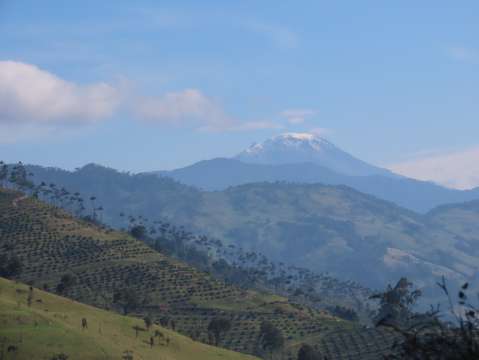 La mayoría de los bosques andinos en Colombia se están quedando aislados