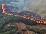 Incendios en Colombia: así amanece el país este 24 de enero