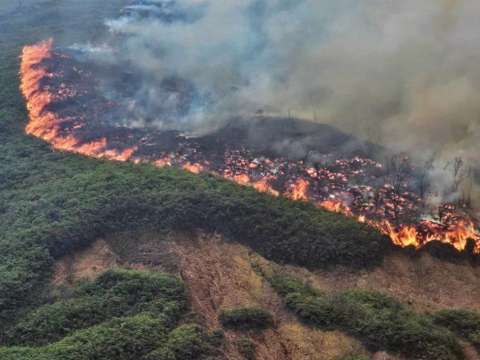 Se reactiva incendio forestal en Piedecuesta, Santander