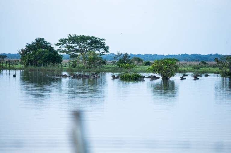 Orocue Casanare