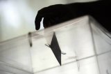 Con 70.38 %, Guatemala batió récord de participación en elecciones