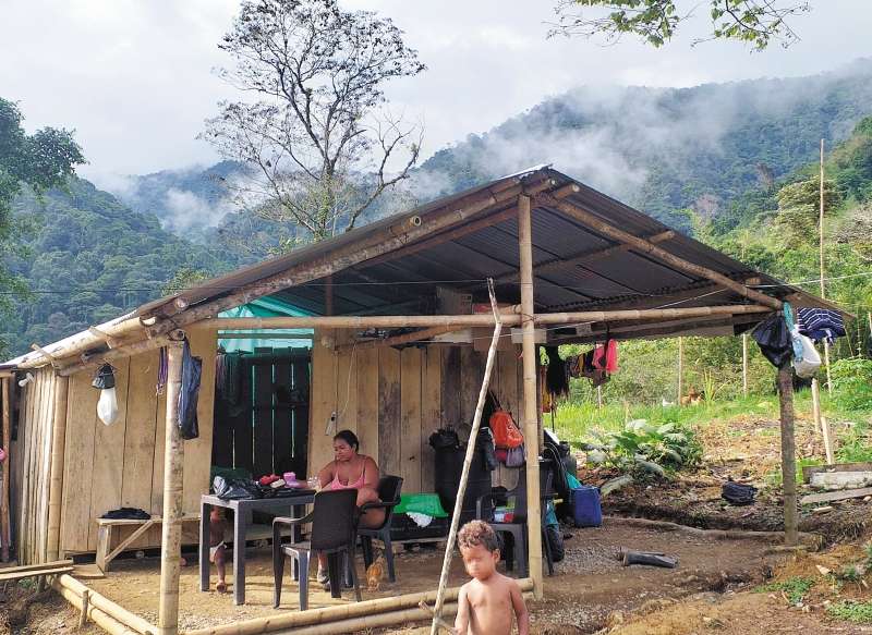 En la nueva área de reincorporación de Pueblo Rico (Risaralda) viven 32 excombatientes en viviendas que ellos mismos levantaron. / Cortesía NAR Jimmy Tatamá