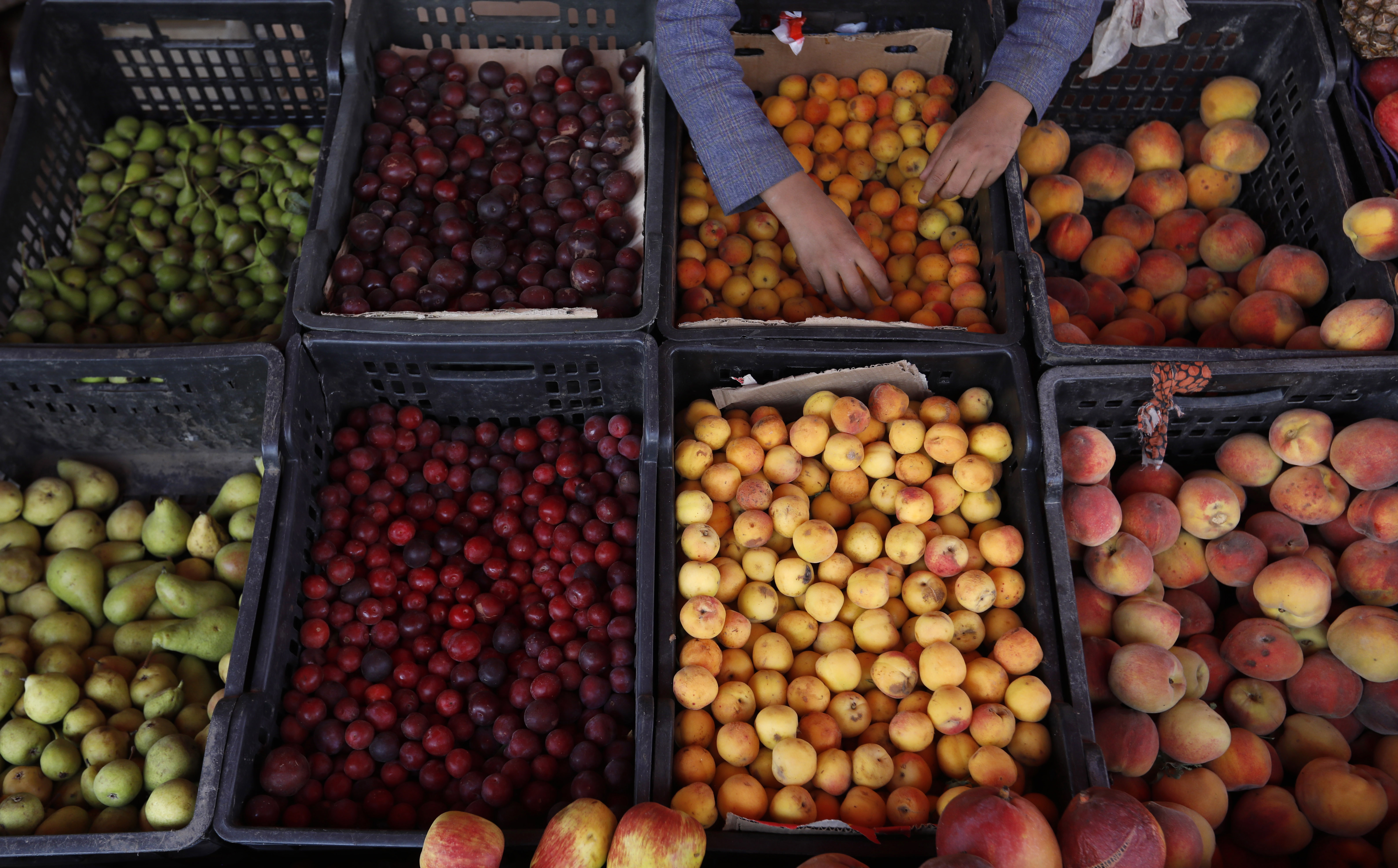 Sana'a (Yemen), 06/06/2023.- A vendor displays fruits for sale at a shop on the eve of the World Food Safety Day, in Sana'a, Yemen, 06 June 2023. The World Food Safety Day is marked annually on 07 June to raise awareness about the importance of safe food practices and to help prevent, detect and manage foodborne risks, contributing to food security, human health and agricultural production. (Día, Mundial, Concienciación, Autismo) EFE/EPA/YAHYA ARHAB