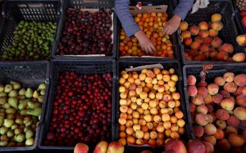 Hambre, sociedad y economía: los retos de la alimentación en Latinoamérica