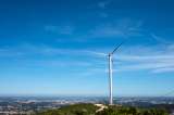 Gobierno alista Conpes sobre crecimiento verde