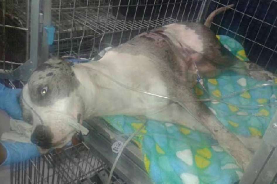 Foto: Noticias Caracol.