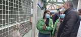 Contraloría de Bogotá vigila millonaria inversión en centros de protección animal