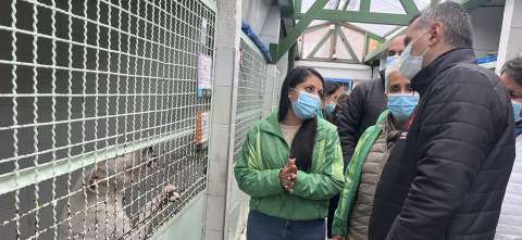 Contraloría de Bogotá vigila millonaria inversión en centros de protección animal