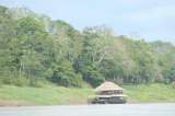 Tasa de deforestación en la Amazonia: ¿una ambigüedad?
