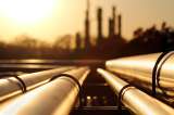 Si el gobierno decide cubrir los precios del petróleo, esto podría impactar el mercado