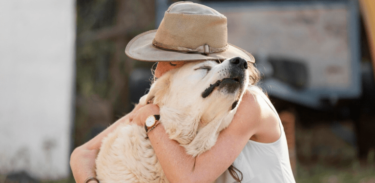 Cosas que hacen los perros cuando quieren proteger su hogar