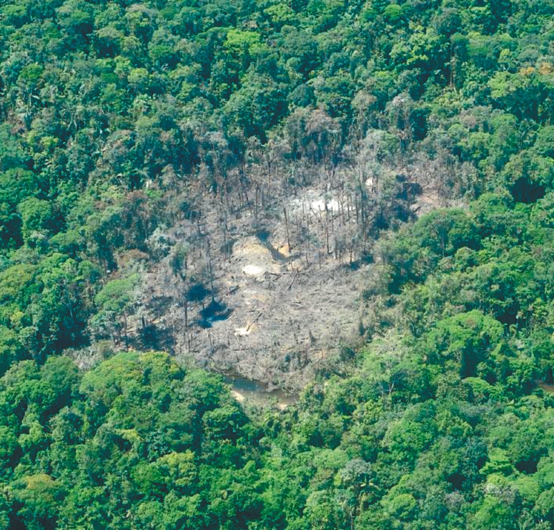 La acción militar se desarrolló durante varios días de septiembre pasado en Chocó. / Ministerio de Defensa