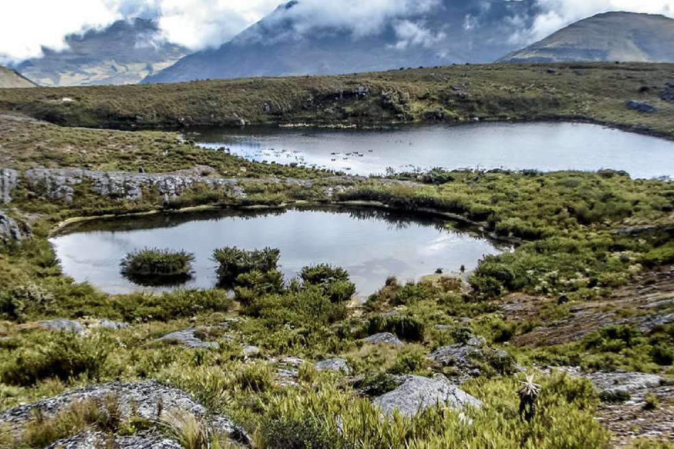 El pasado jueves, 9 de agosto, un fallo del Tribunal Administrativo de Boyacá le otorgó este reconocimiento a este ecosistema, ordenando su pronta delimitación concertada. / Daniel Rincón Puerta - Parques Nacionales (PNN)