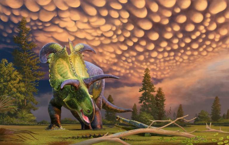 Hallan un nuevo dinosaurio: el “Lokiceratops rangiformis”
