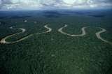 ¿Cómo detener la pérdida de biodiversidad de agua dulce?