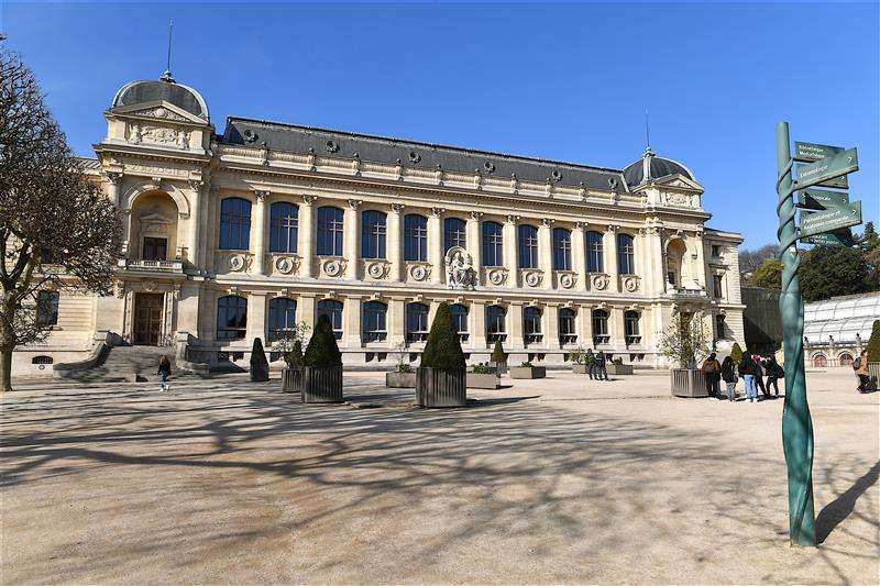El Museo de Historia Natural de París es reconocido por su colección de fósiles y taxidermia.