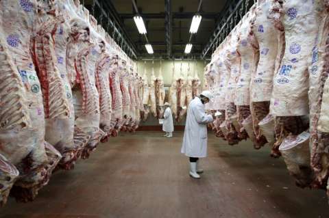 Consumo mundial de carne aumentará en los próximos 10 años