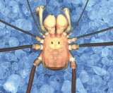 La nueva especie de arácnido que estaba oculta en una cueva, al sur de La Guajira