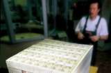 ¿De dónde viene el dinero en la zona euro?