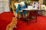 ¿La reina Isabel II se le aparece a sus perros? Esto dijo Sarah Ferguson