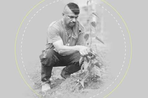 (En cifras) La reincorporación de los excombatientes de las Farc