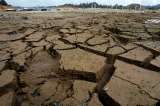 El Niño podría llegar en agosto con climas más extremos y temperaturas más altas