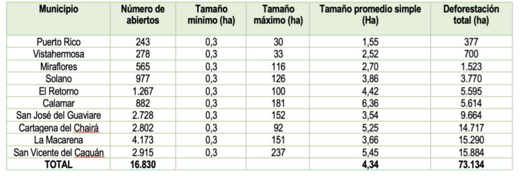 Deforestación amazonia